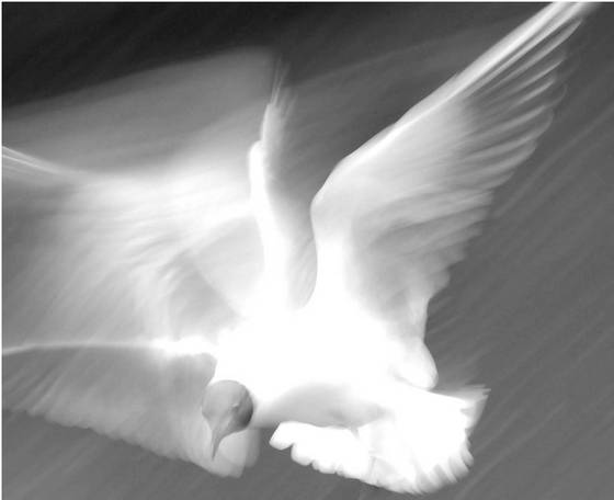 Ghost_2