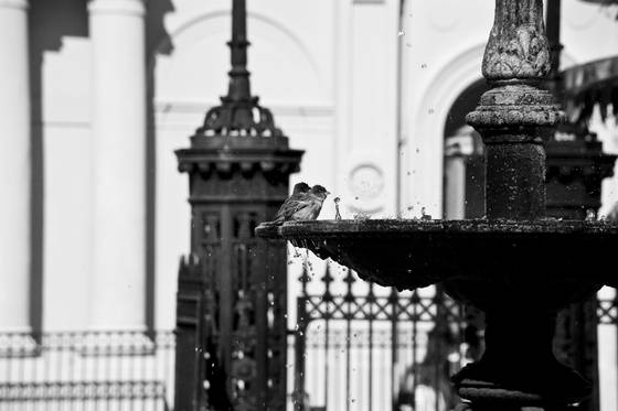 Jackson_square_fountain