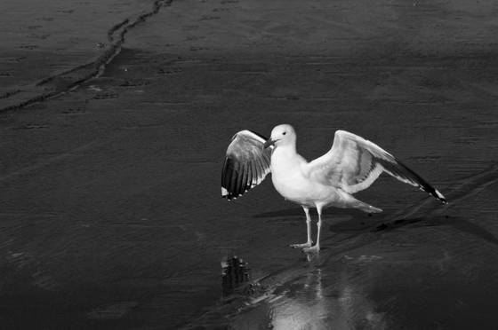 Untitled_16