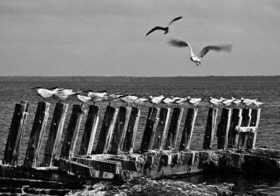 Aircraft_carrier_01