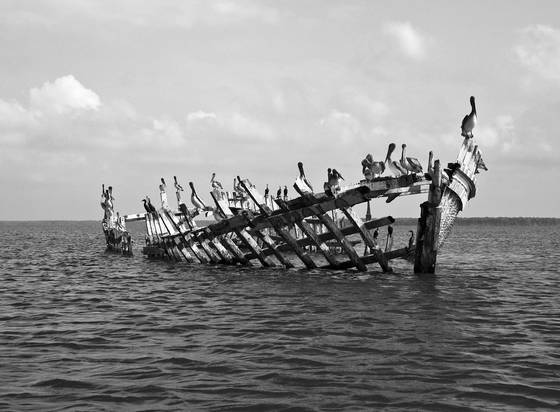 Untitled_10