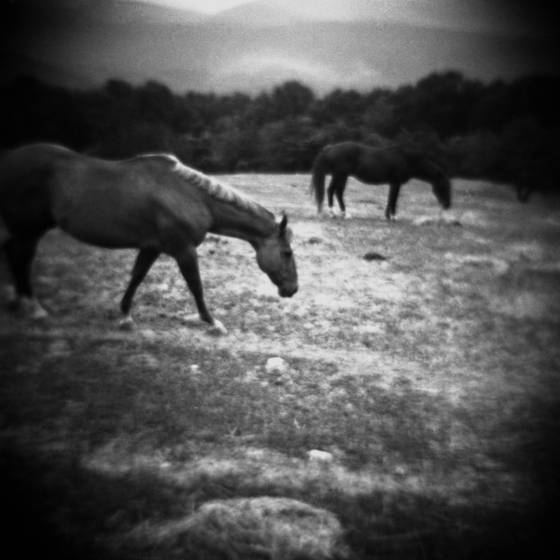 Just_passing_through
