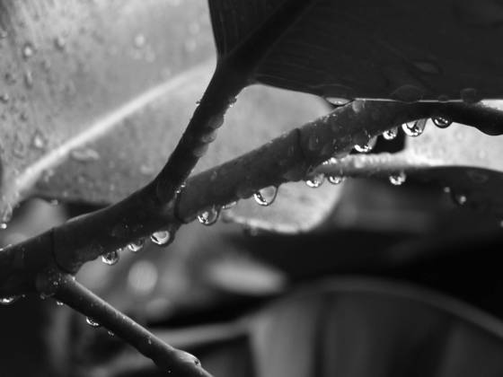 Untitled_1