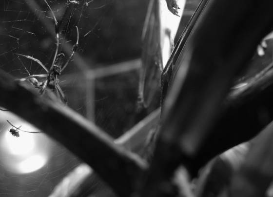 Untitled_4