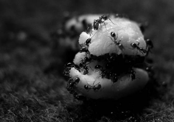 Untitled_7