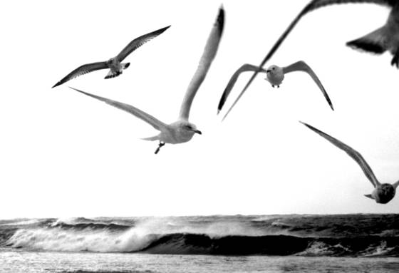 Untitled_2