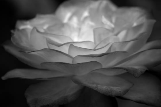 Eerie_airy