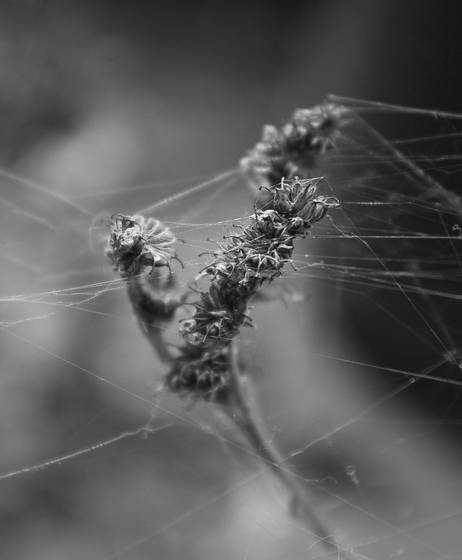 Untitled_2
