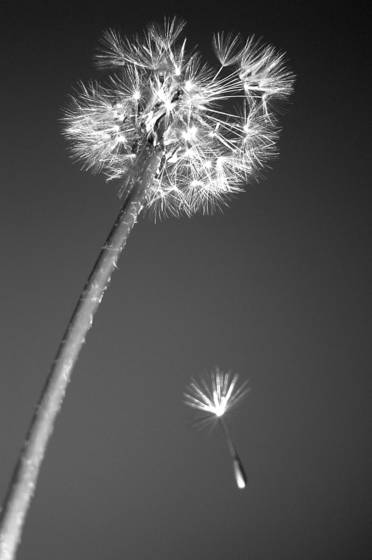 Untitled_7