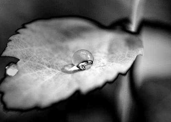Crystal_ball