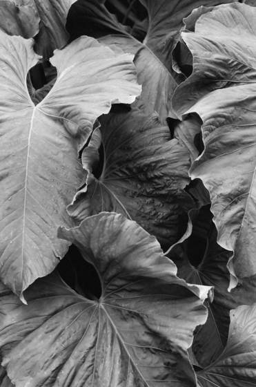 Untitled_3