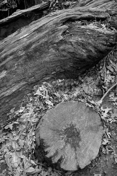 Untitled_7
