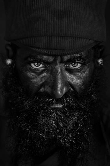 Forest_dweller
