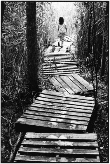 Crooked_wooden_path