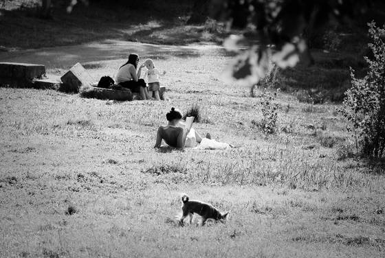 Summer_afternoon