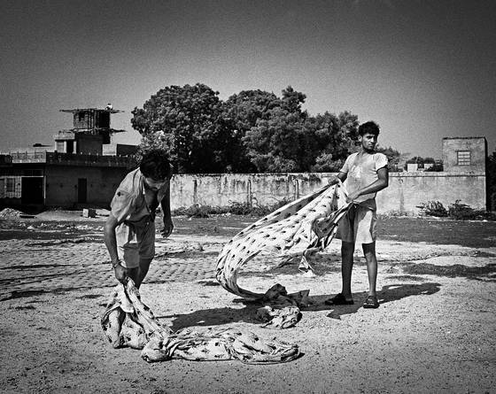 Dyeing_factory_2