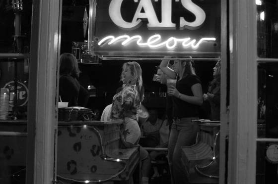 Cats_meow