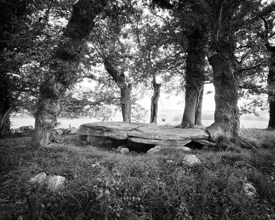 Dolmen_de_la_mason_trouvee