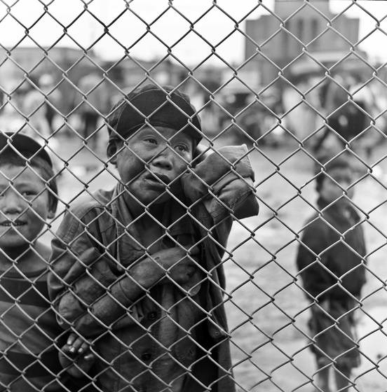 Kid_on_fence