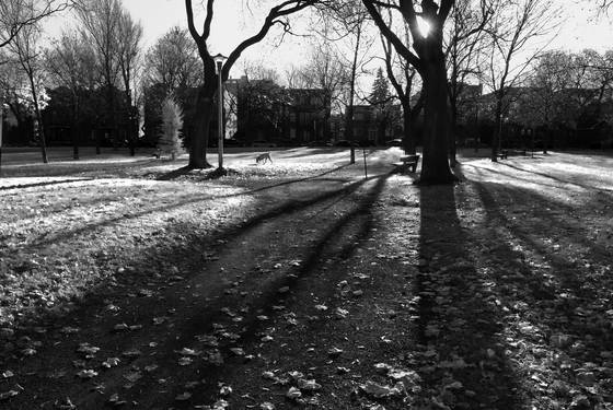 Parc_fullum