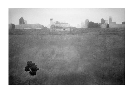 New_life__cemetery_
