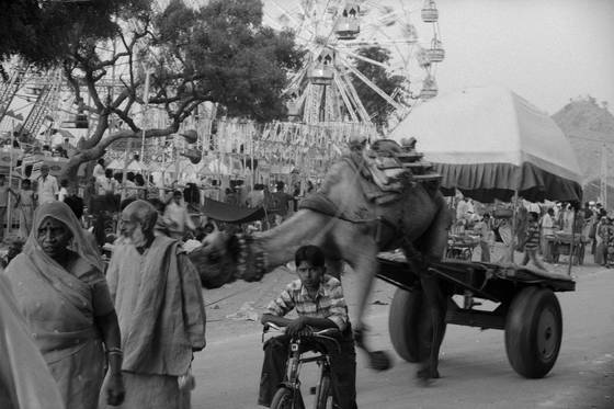 Pushkar_fair