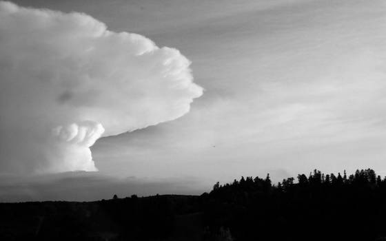 Nature_s_warning