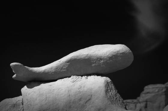 Beached_whale