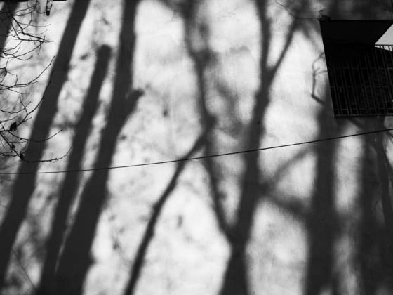Untitled_1