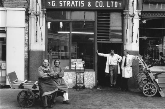 G__stratis_and_co_ltd