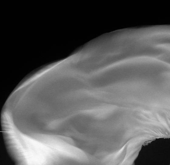 Blowing_linen_05