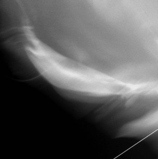 Blowing_linen_21