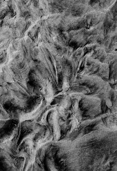 Sand_forms