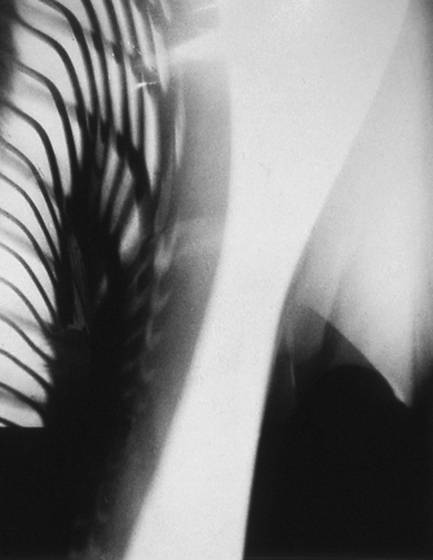 Untitled_8