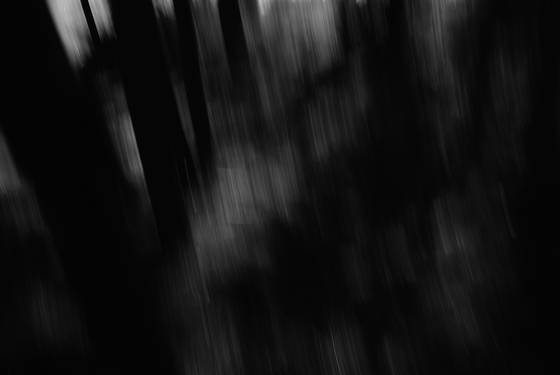Untitled_5