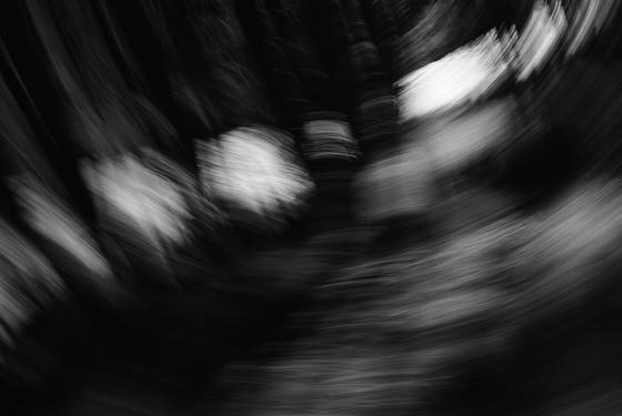 Untitled_8