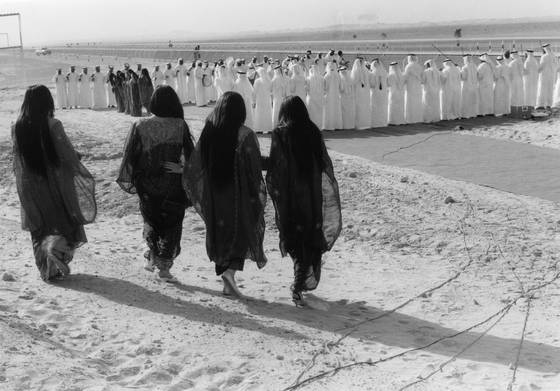 A_day_at_the_camel_races
