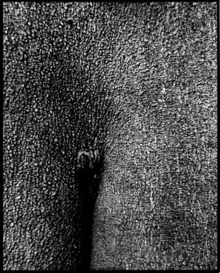 Raw_domains