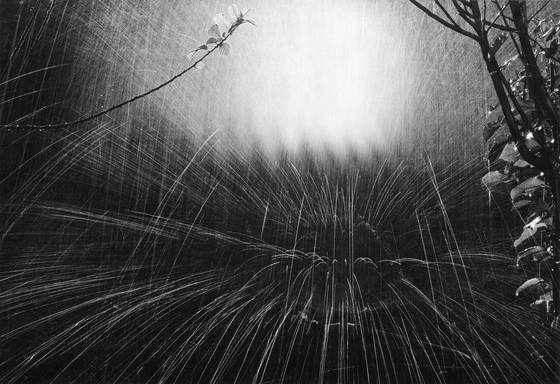 Sprinkler_in_the_orchard