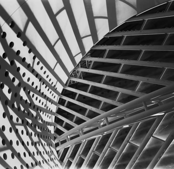Untitled_1