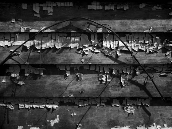 Grape_vine_and_peeling_paint