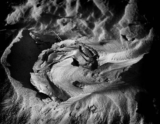 Desert_texture__7