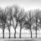 Untitled_09c