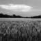 Untitled1
