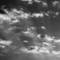 Untitled_1