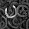 Sliver_shoe