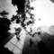 The_last