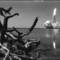 Endeavour_launch