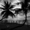 Keys_sunrise
