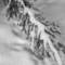 Rock_run_creek_in_winter_1